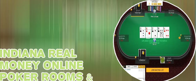 Top online poker pros
